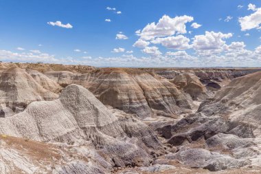 Taşlaşmış orman Milli Parkı Arizona, ABD