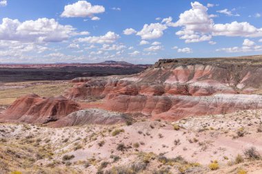 Taşlaşmış orman Milli Parkı Arizona, ABD