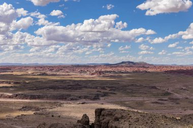 Taşlaşmış orman Milli Parkı Arizona, ABD