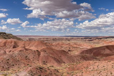 Taşlaşmış orman Milli Parkı Arizona, ABD