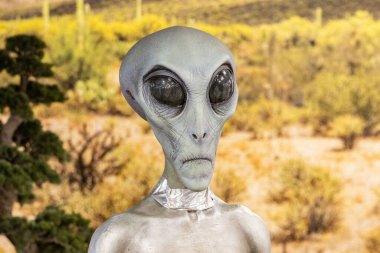 Roswell, New Mexico 'daki Uluslararası UFO Müzesi ve Araştırma Merkezi, ABD