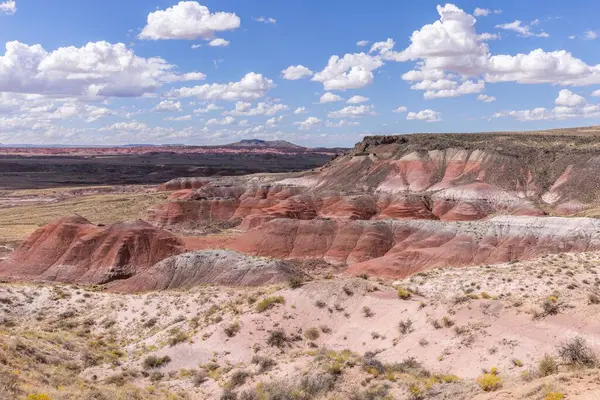 Taşlaşmış orman Milli Parkı Arizona, ABD