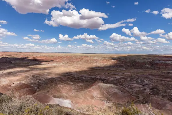 Taşlaşmış orman Milli Parkı Arizona, ABD