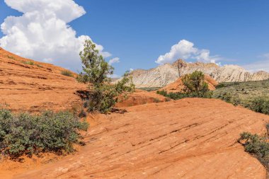 Snow Canyon State Park in Utah, USA clipart