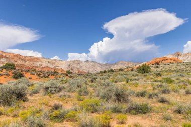 Snow Canyon State Park in Utah, USA clipart