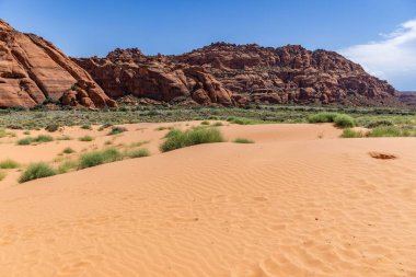 Kar kanyon Utah, ABD eyalet parkı