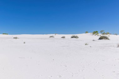White Sands Ulusal Parkı New Mexico, ABD