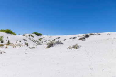 White Sands Ulusal Parkı New Mexico, ABD