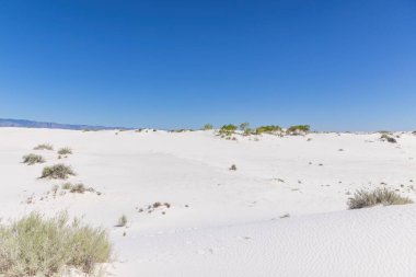 White Sands Ulusal Parkı New Mexico, ABD