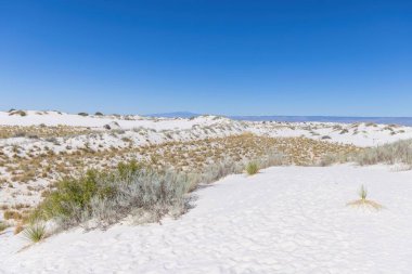 White Sands Ulusal Parkı New Mexico, ABD