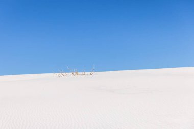White Sands Ulusal Parkı New Mexico, ABD