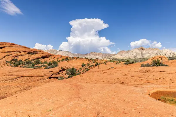 Kar kanyon Utah, ABD eyalet parkı