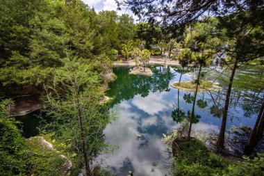 Williston, Florida 'daki Cedar Lakes Ormanı ve Bahçeleri, ABD