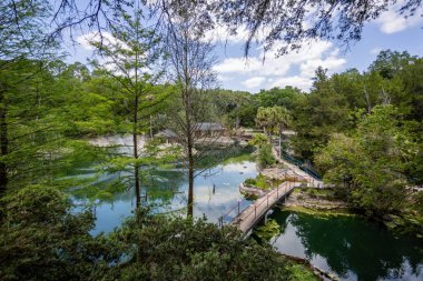 Williston, Florida 'daki Cedar Lakes Ormanı ve Bahçeleri, ABD