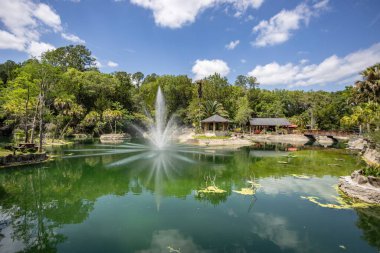 Williston, Florida 'daki Cedar Lakes Ormanı ve Bahçeleri, ABD