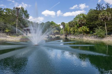 Williston, Florida 'daki Cedar Lakes Ormanı ve Bahçeleri, ABD