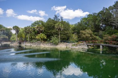 Williston, Florida 'daki Cedar Lakes Ormanı ve Bahçeleri, ABD