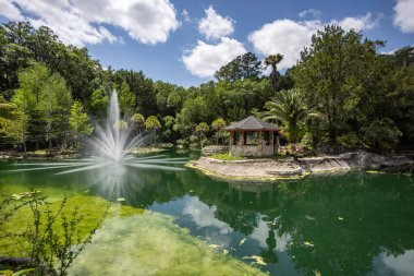 Williston, Florida 'daki Cedar Lakes Ormanı ve Bahçeleri, ABD