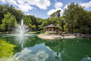 Williston, Florida 'daki Cedar Lakes Ormanı ve Bahçeleri, ABD