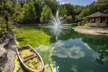 Williston, Florida 'daki Cedar Lakes Ormanı ve Bahçeleri, ABD