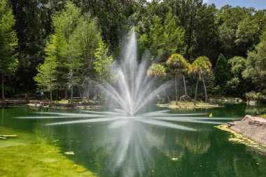Williston, Florida 'daki Cedar Lakes Ormanı ve Bahçeleri, ABD