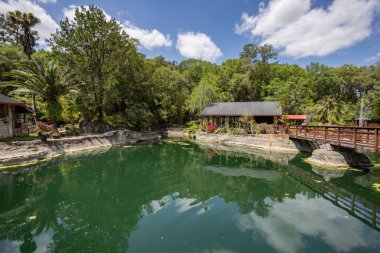 Williston, Florida 'daki Cedar Lakes Ormanı ve Bahçeleri, ABD