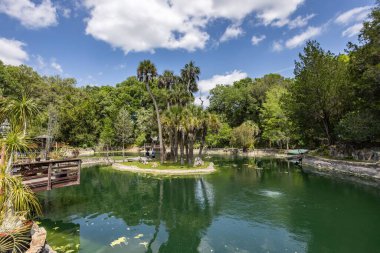 Williston, Florida 'daki Cedar Lakes Ormanı ve Bahçeleri, ABD
