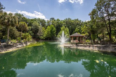 Williston, Florida 'daki Cedar Lakes Ormanı ve Bahçeleri, ABD