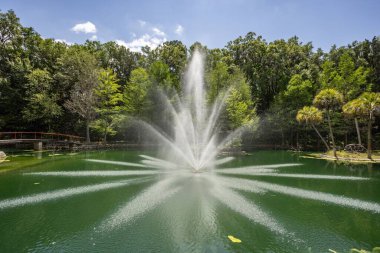 Williston, Florida 'daki Cedar Lakes Ormanı ve Bahçeleri, ABD