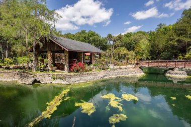 Williston, Florida 'daki Cedar Lakes Ormanı ve Bahçeleri, ABD