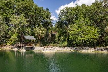 Williston, Florida 'daki Cedar Lakes Ormanı ve Bahçeleri, ABD