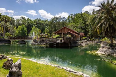 Williston, Florida 'daki Cedar Lakes Ormanı ve Bahçeleri, ABD