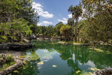 Williston, Florida 'daki Cedar Lakes Ormanı ve Bahçeleri, ABD