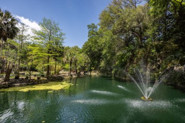 Williston, Florida 'daki Cedar Lakes Ormanı ve Bahçeleri, ABD