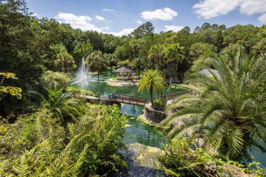 Williston, Florida 'daki Cedar Lakes Ormanı ve Bahçeleri, ABD