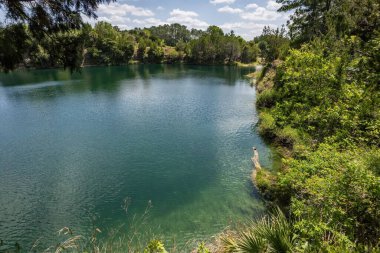 Williston, Florida 'daki Cedar Lakes Ormanı ve Bahçeleri, ABD