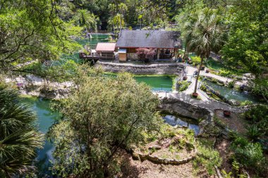 Williston, Florida 'daki Cedar Lakes Ormanı ve Bahçeleri, ABD
