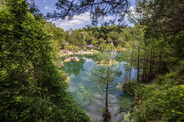Williston, Florida 'daki Cedar Lakes Ormanı ve Bahçeleri, ABD
