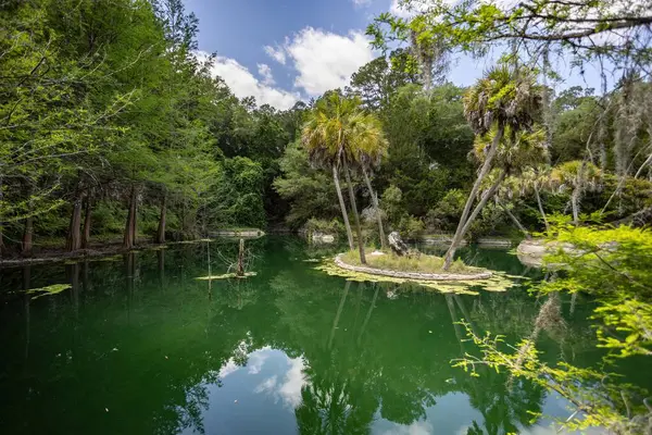 Williston, Florida 'daki Cedar Lakes Ormanı ve Bahçeleri, ABD