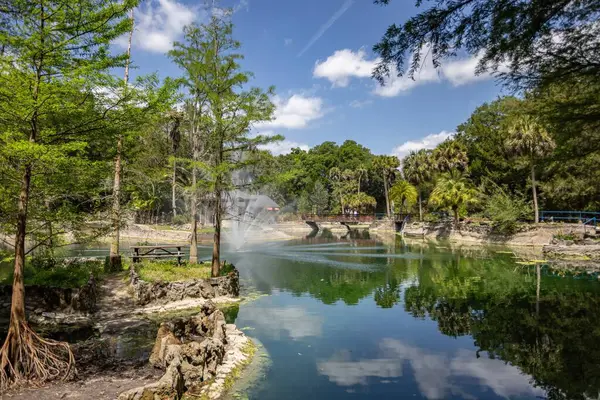 Williston, Florida 'daki Cedar Lakes Ormanı ve Bahçeleri, ABD