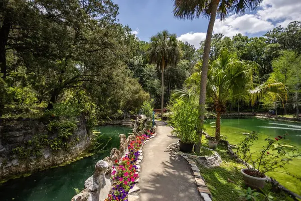 Williston, Florida 'daki Cedar Lakes Ormanı ve Bahçeleri, ABD