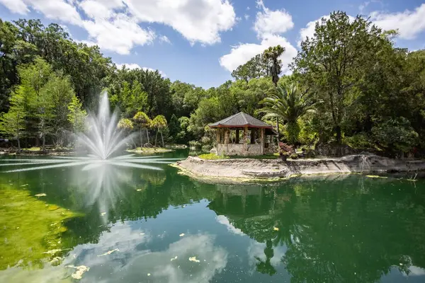 Williston, Florida 'daki Cedar Lakes Ormanı ve Bahçeleri, ABD