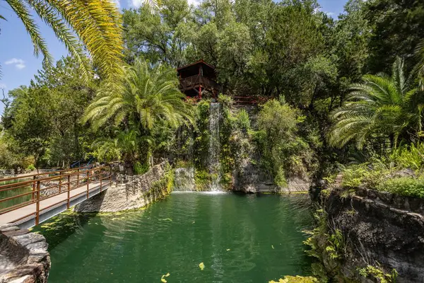 Williston, Florida 'daki Cedar Lakes Ormanı ve Bahçeleri, ABD