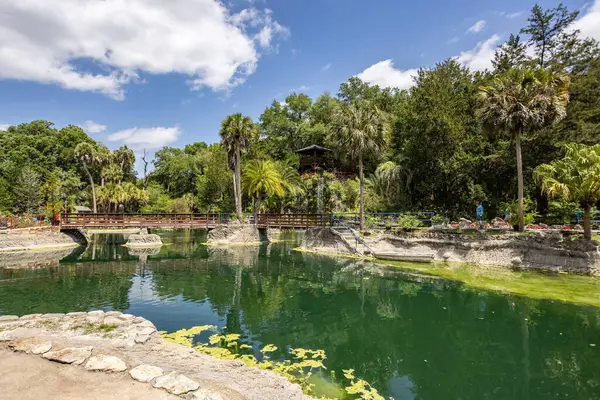 Williston, Florida 'daki Cedar Lakes Ormanı ve Bahçeleri, ABD