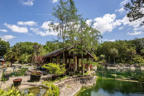 Williston, Florida 'daki Cedar Lakes Ormanı ve Bahçeleri, ABD