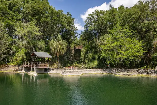 Williston, Florida 'daki Cedar Lakes Ormanı ve Bahçeleri, ABD