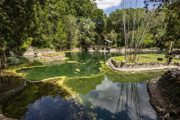 Williston, Florida 'daki Cedar Lakes Ormanı ve Bahçeleri, ABD