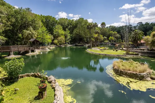 Williston, Florida 'daki Cedar Lakes Ormanı ve Bahçeleri, ABD