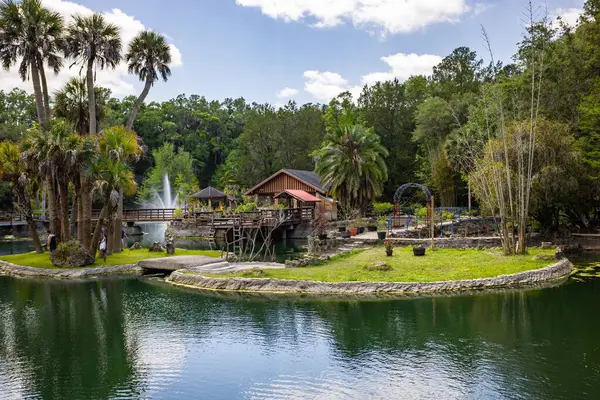 Williston, Florida 'daki Cedar Lakes Ormanı ve Bahçeleri, ABD