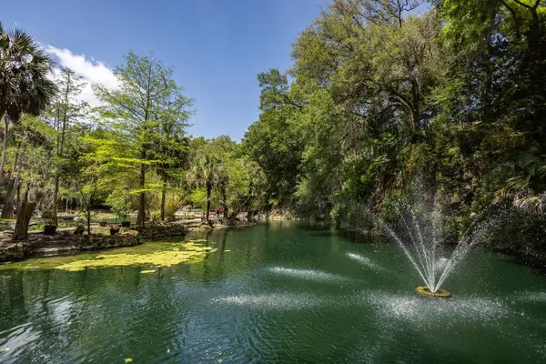 Williston, Florida 'daki Cedar Lakes Ormanı ve Bahçeleri, ABD